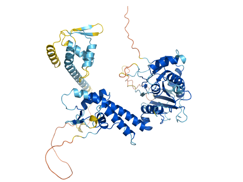 AlphaFold predicted structure of TAH11