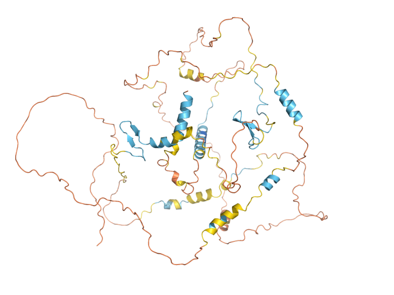 AlphaFold predicted structure of BFA1