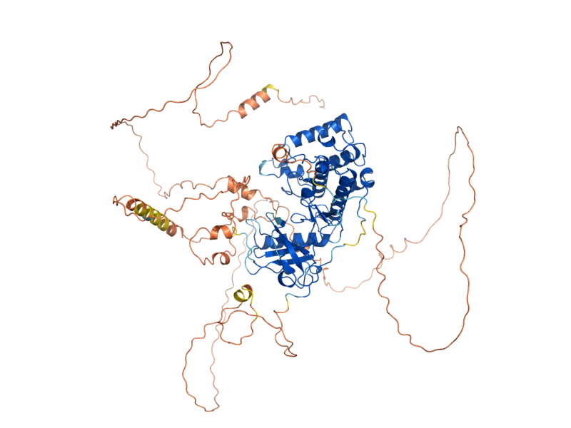 AlphaFold predicted structure of PTK2