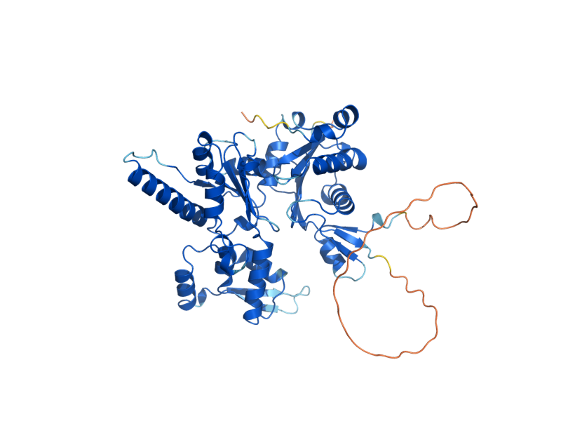 AlphaFold predicted structure of ARP3