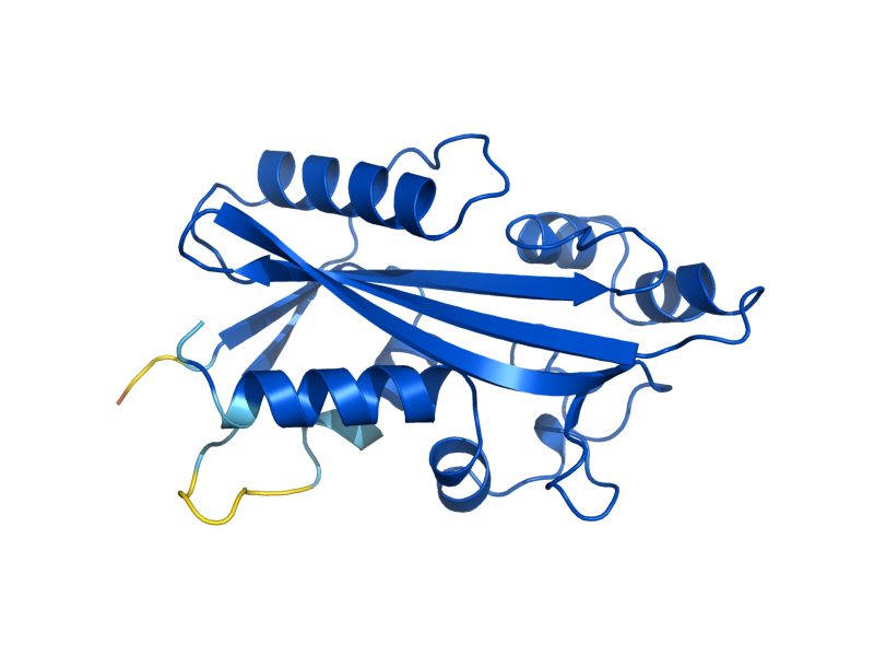 AlphaFold predicted structure of HAM1