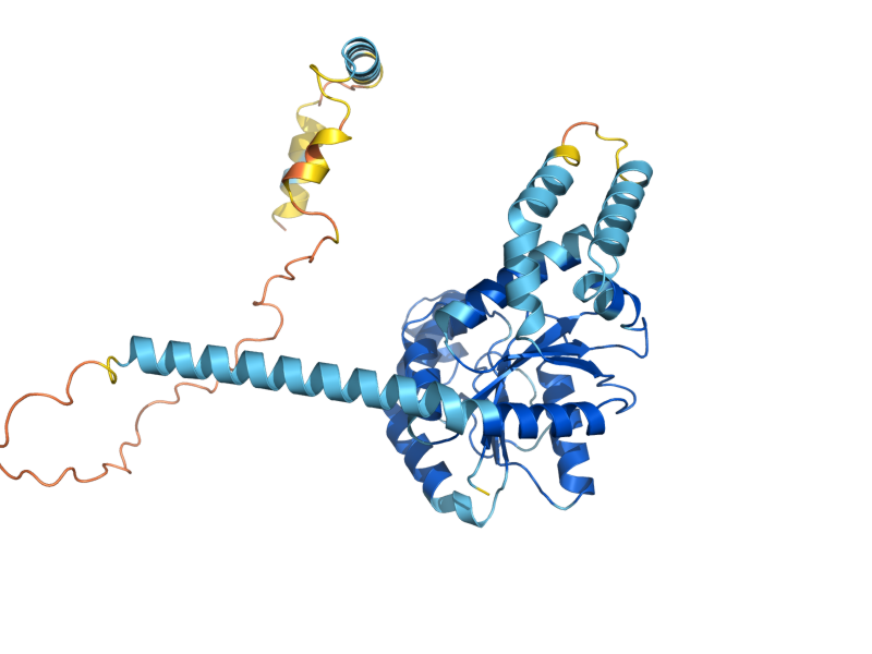 AlphaFold predicted structure of NPA3