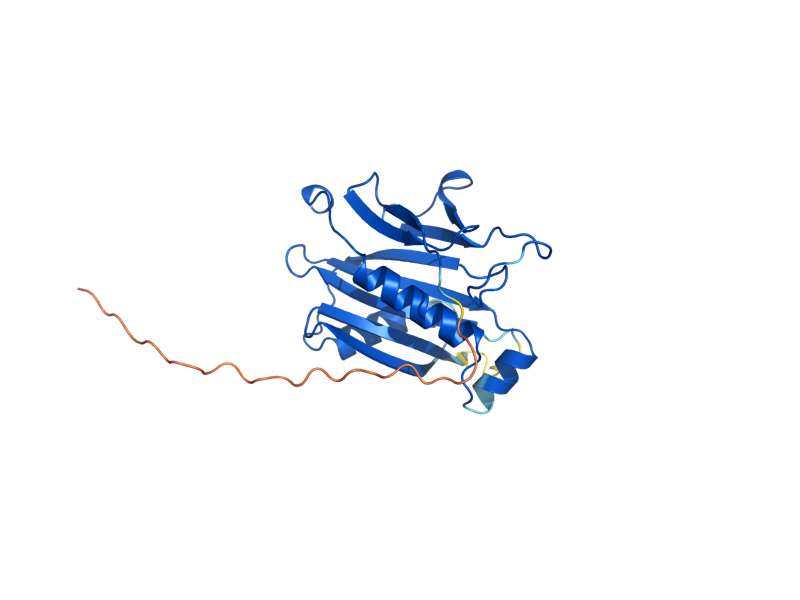 AlphaFold predicted structure of MOG1