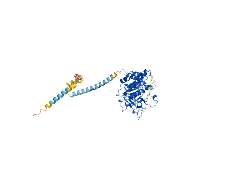 AlphaFold predicted structure of HOC1
