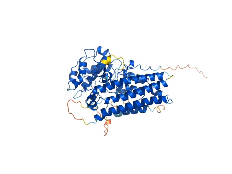 AlphaFold predicted structure of BNA2