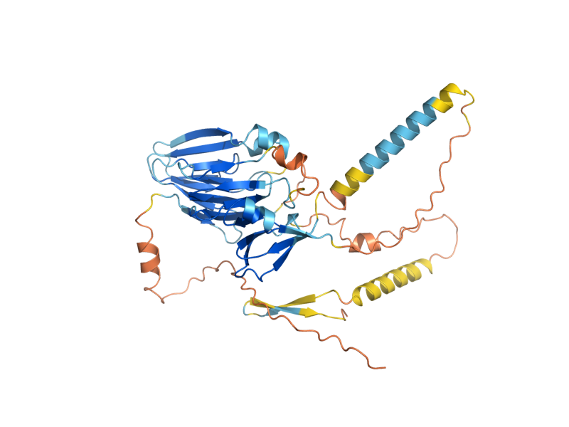AlphaFold predicted structure of AIM24