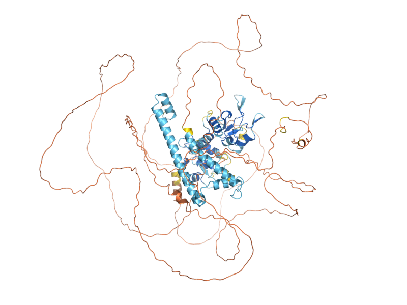 AlphaFold predicted structure of BIR1