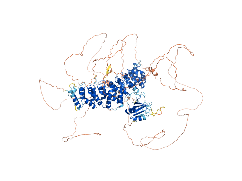 AlphaFold predicted structure of JSN1