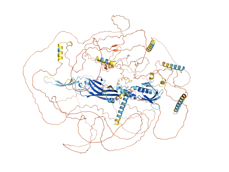 AlphaFold predicted structure of BUD4