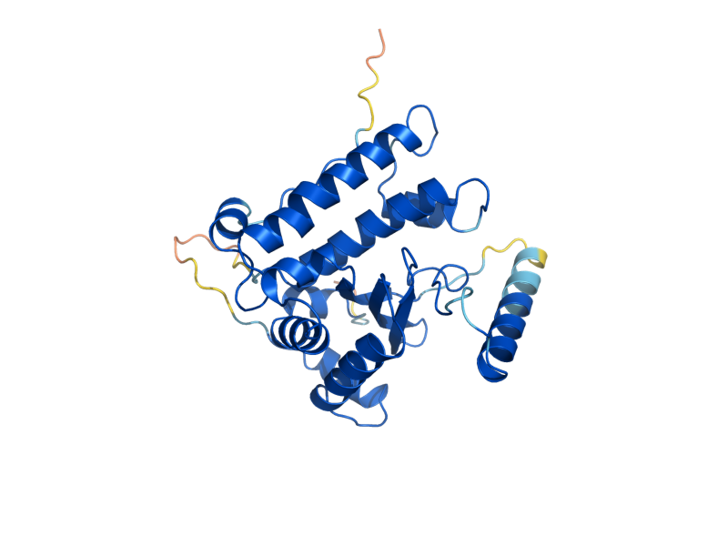 AlphaFold predicted structure of RSM26