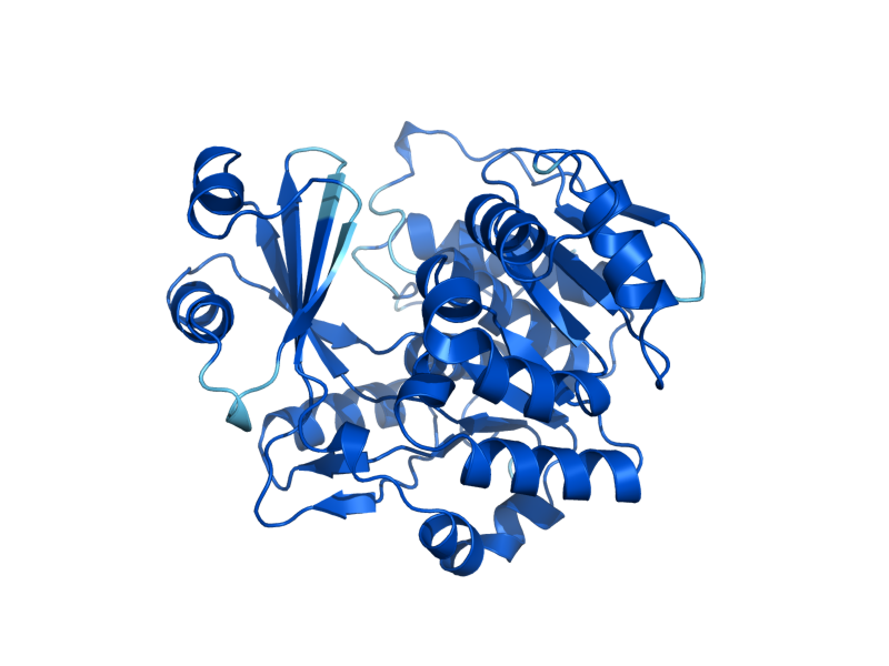 AlphaFold predicted structure of ADO1