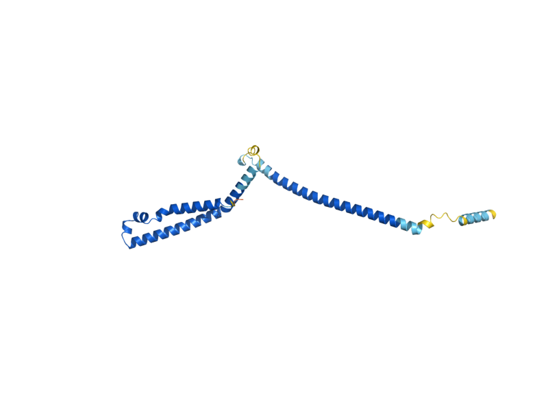 AlphaFold predicted structure of NNF1