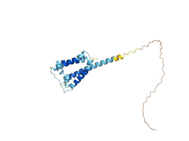AlphaFold predicted structure of ILM1