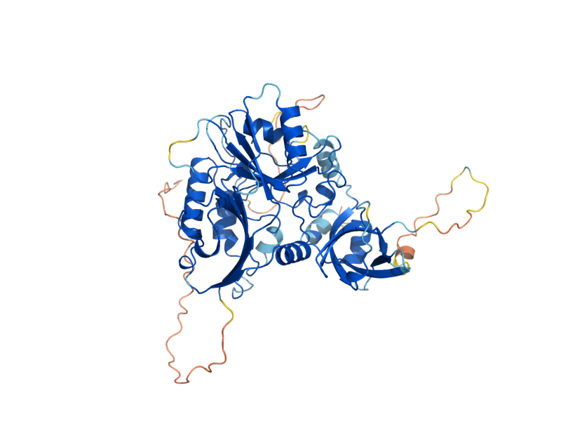 AlphaFold predicted structure of IBA57