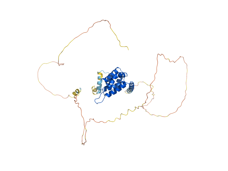 AlphaFold predicted structure of ENT3