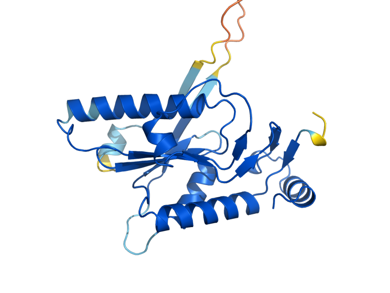 AlphaFold predicted structure of XPT1