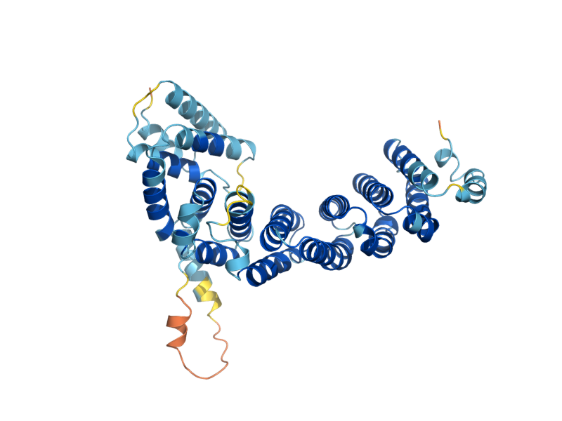 AlphaFold predicted structure of TTI2