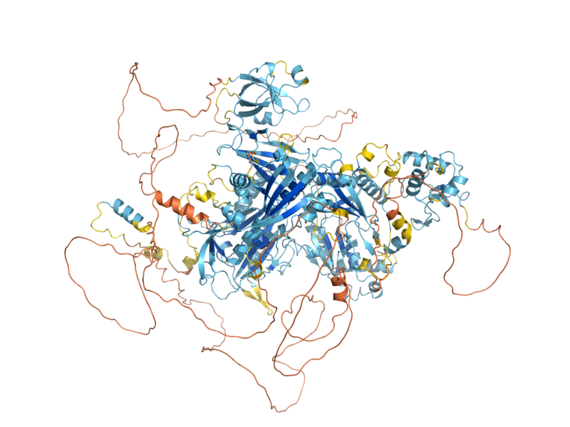 AlphaFold predicted structure of IML1
