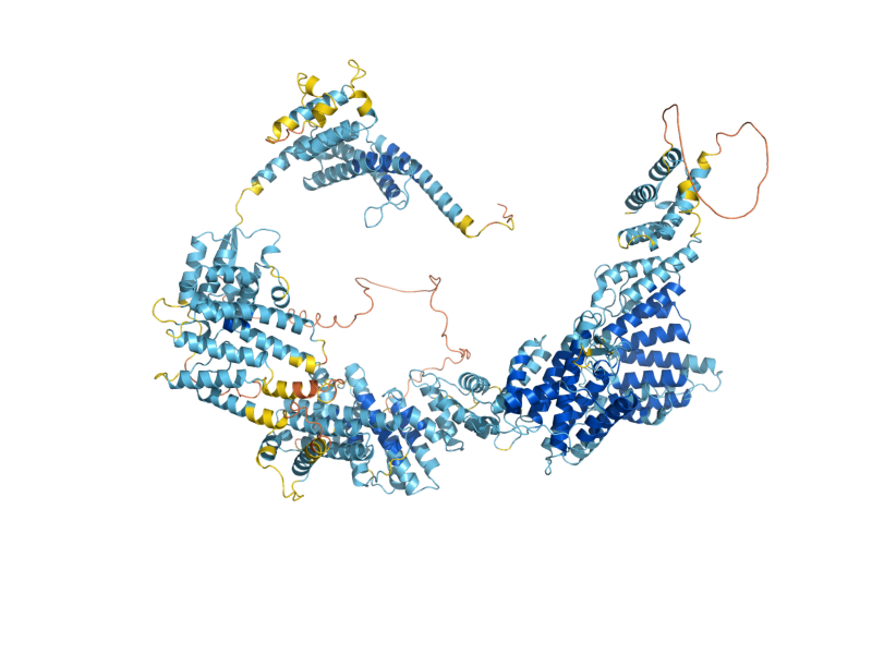 AlphaFold predicted structure of HIR3