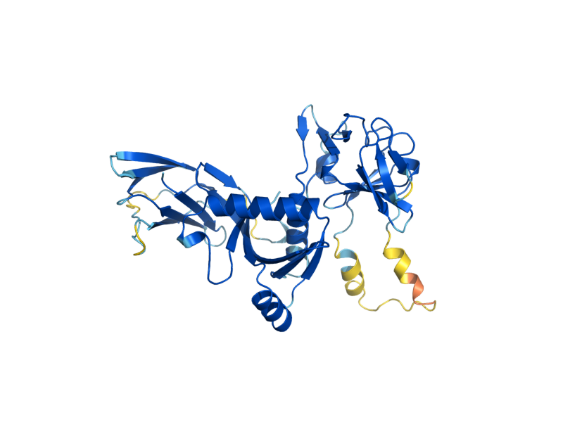 AlphaFold predicted structure of IPA1