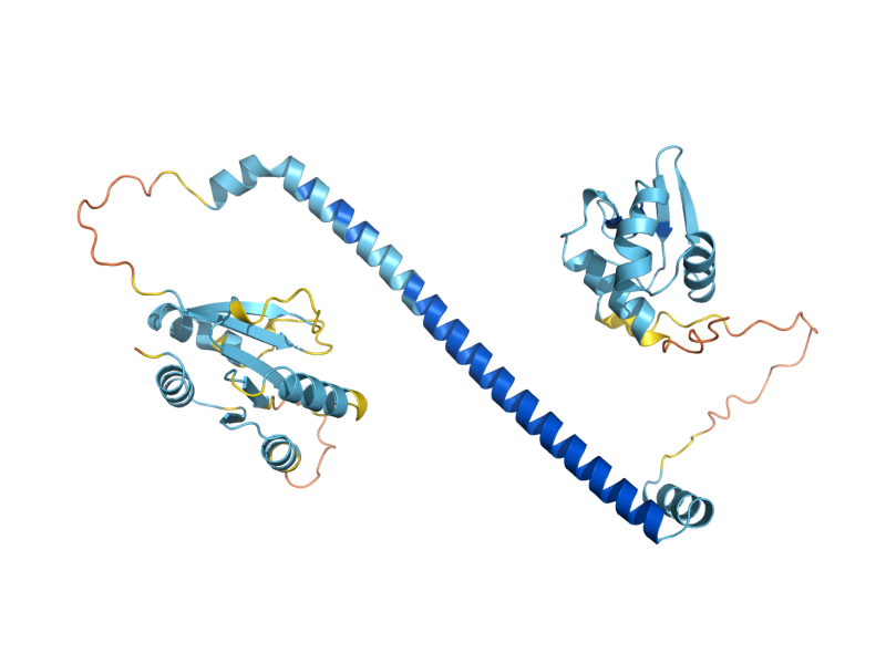 AlphaFold predicted structure of HMS2