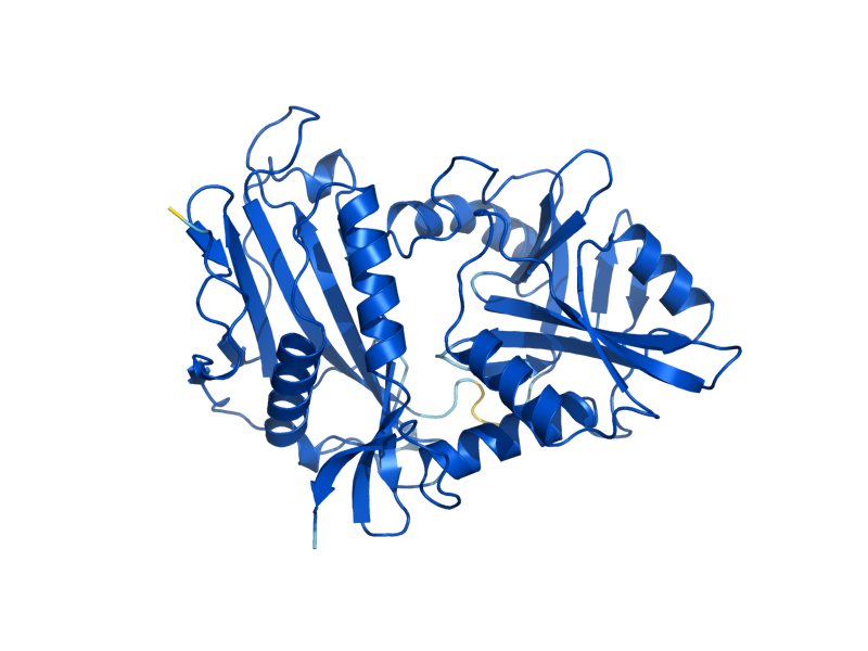 AlphaFold predicted structure of BAT2