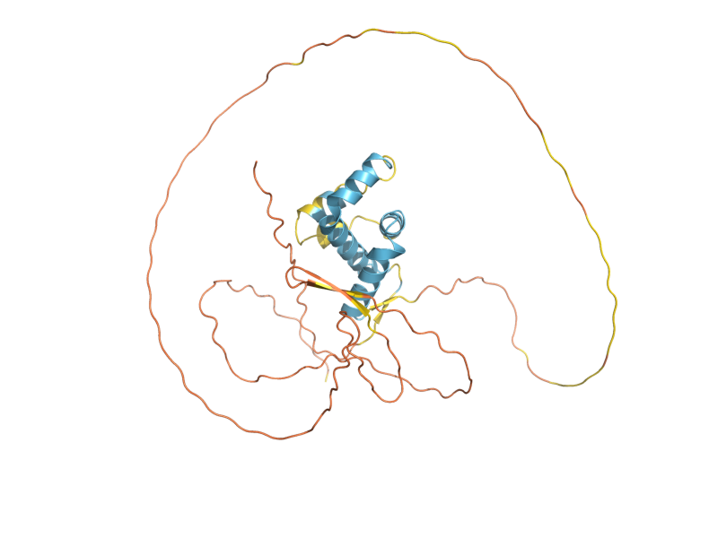 AlphaFold predicted structure of DAN1