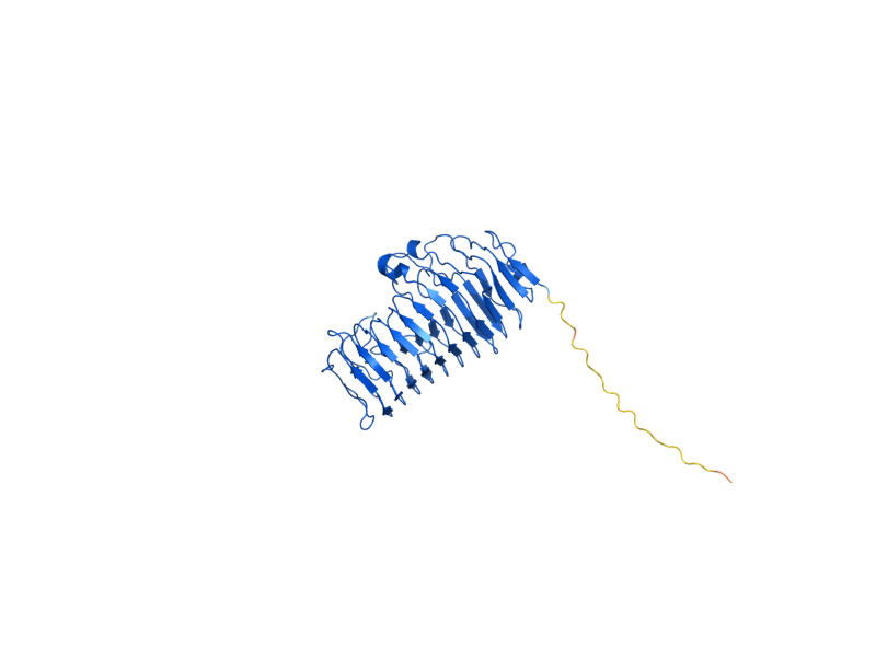 AlphaFold predicted structure of PGU1
