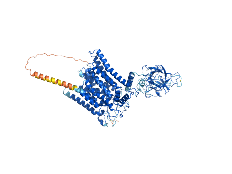 AlphaFold predicted structure of PMT3