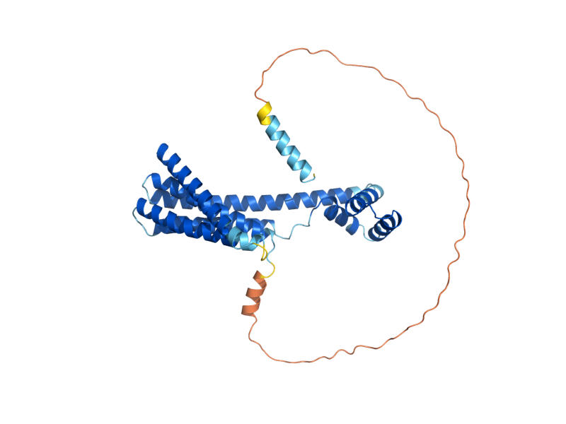 AlphaFold predicted structure of CCC1