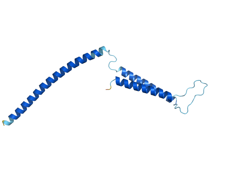 AlphaFold predicted structure of SRB7