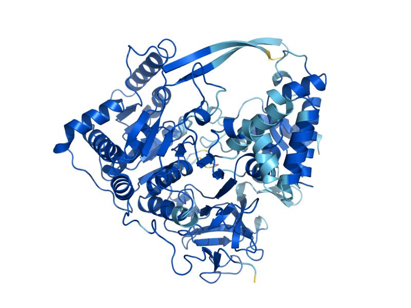 AlphaFold predicted structure of FAA4