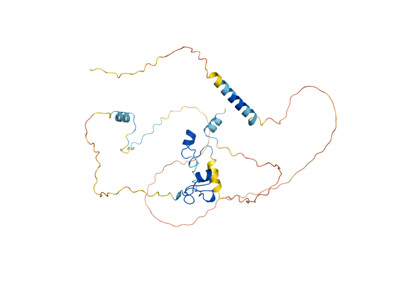 AlphaFold predicted structure of CTH1