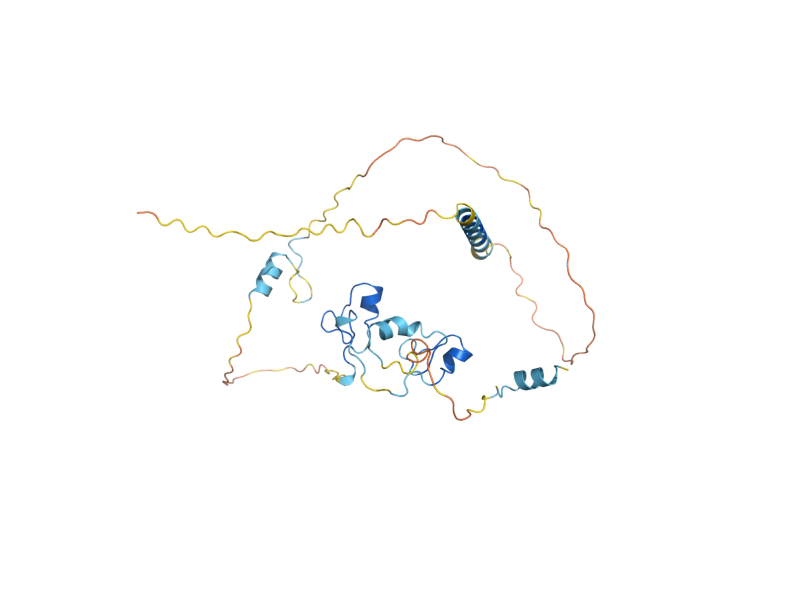 AlphaFold predicted structure of TIS11