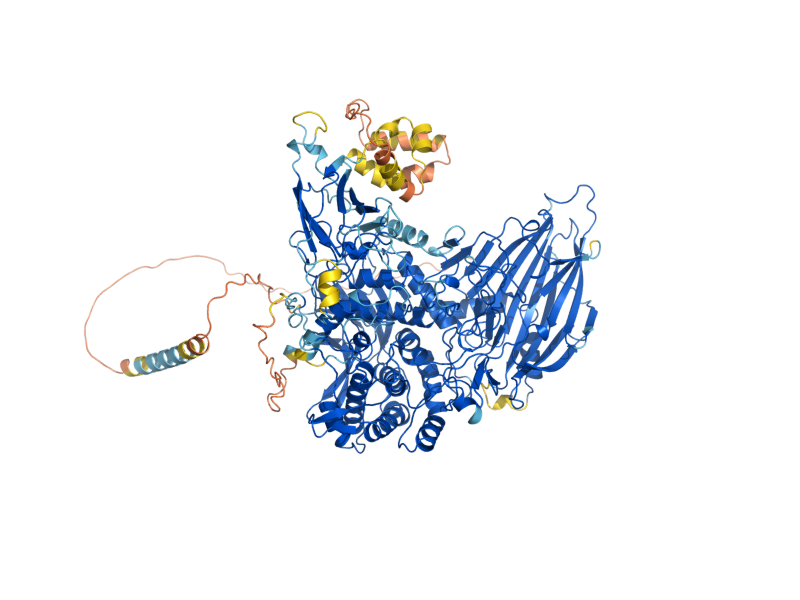 AlphaFold predicted structure of ATH1