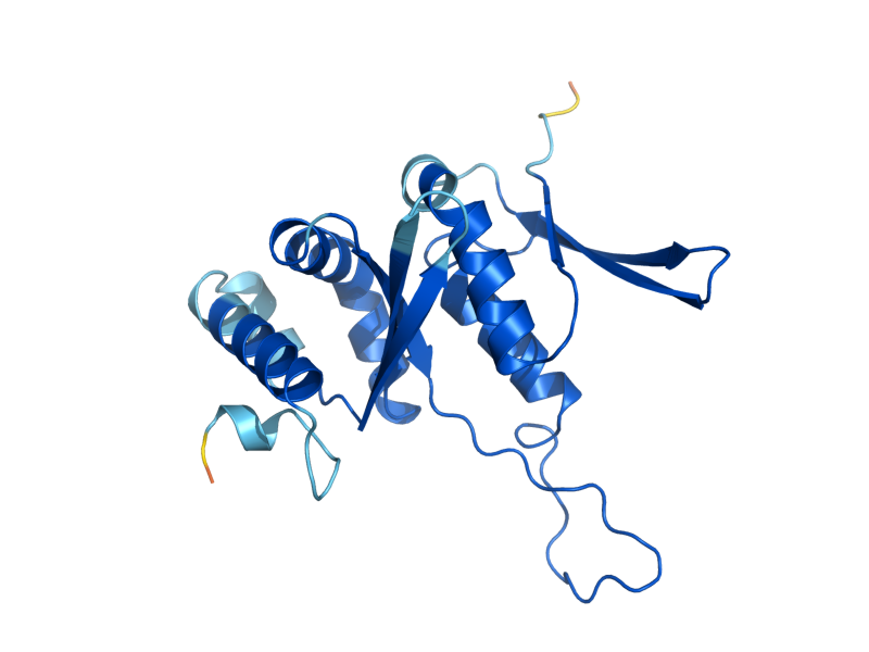 AlphaFold predicted structure of RPS7B