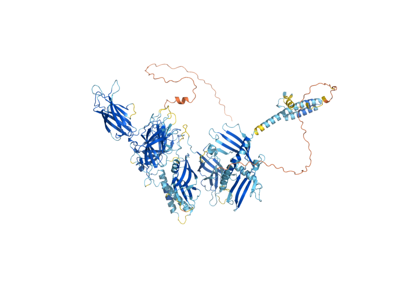AlphaFold predicted structure of TCB2