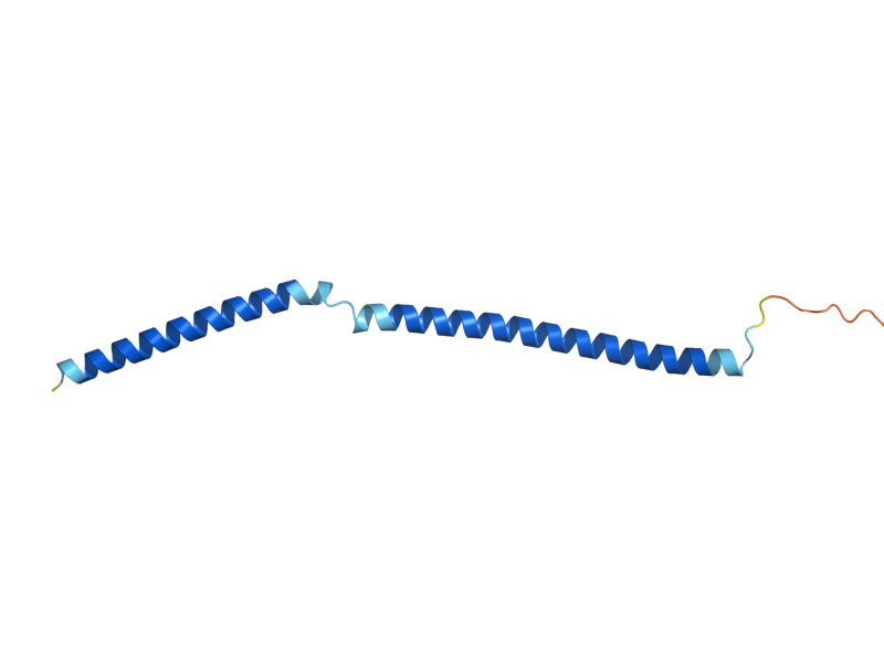 AlphaFold predicted structure of SNN1