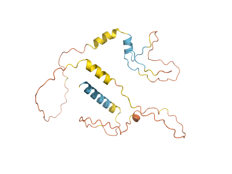 AlphaFold predicted structure of ECL1