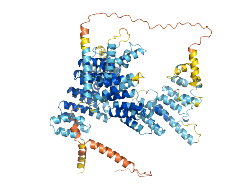 AlphaFold predicted structure of CCM1
