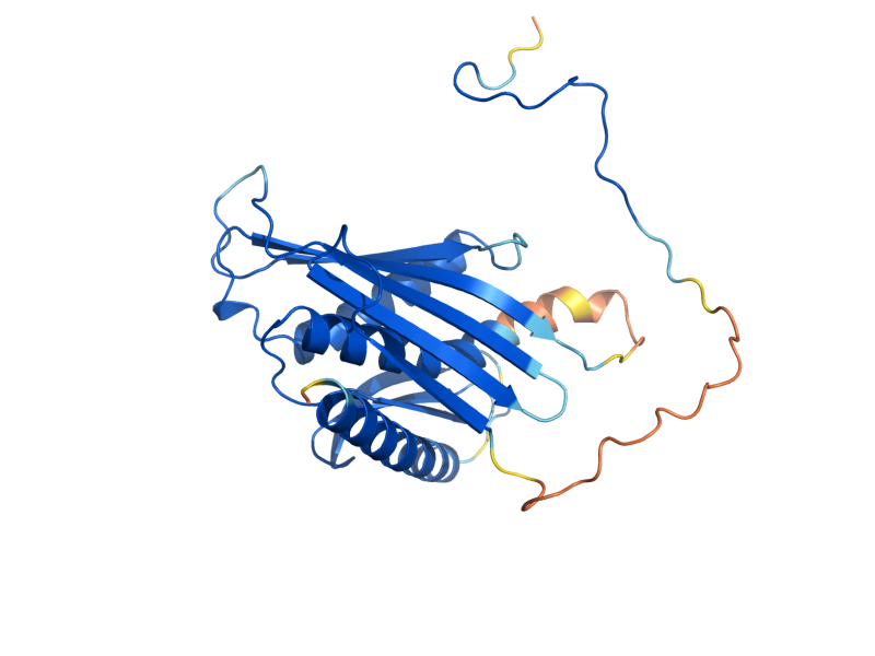 AlphaFold predicted structure of MTR3