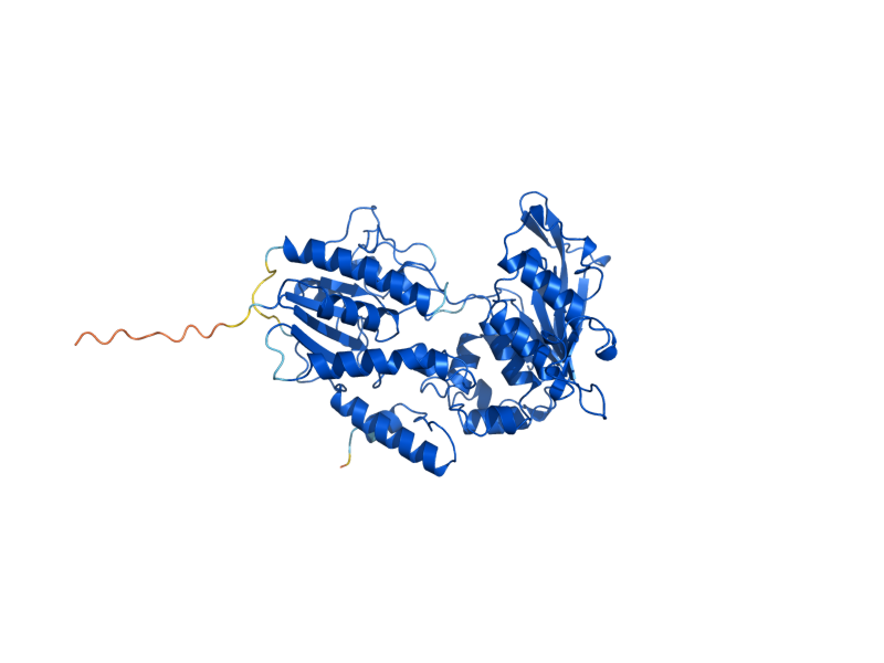 AlphaFold predicted structure of ARH1