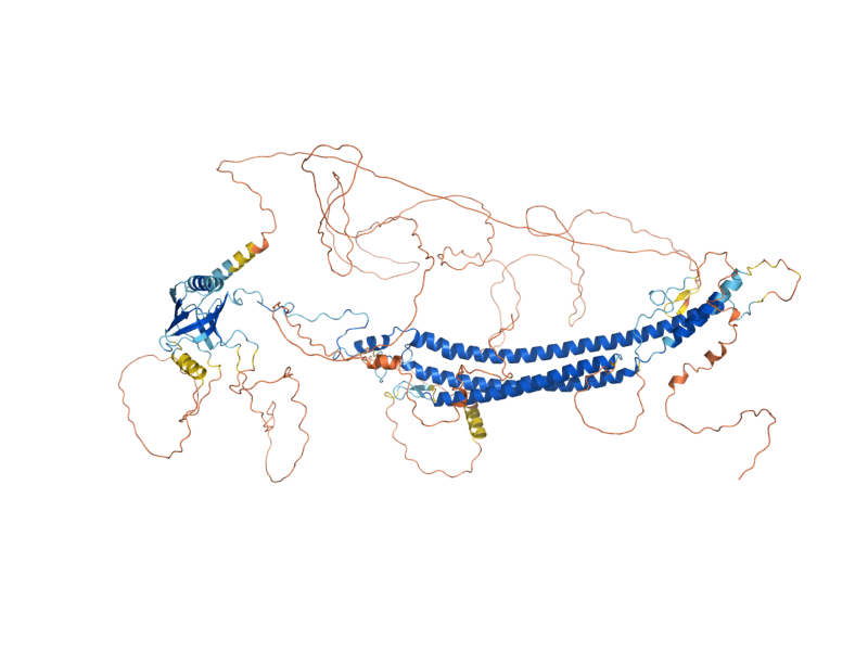 AlphaFold predicted structure of ASK10