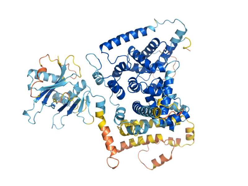 AlphaFold predicted structure of GYP7