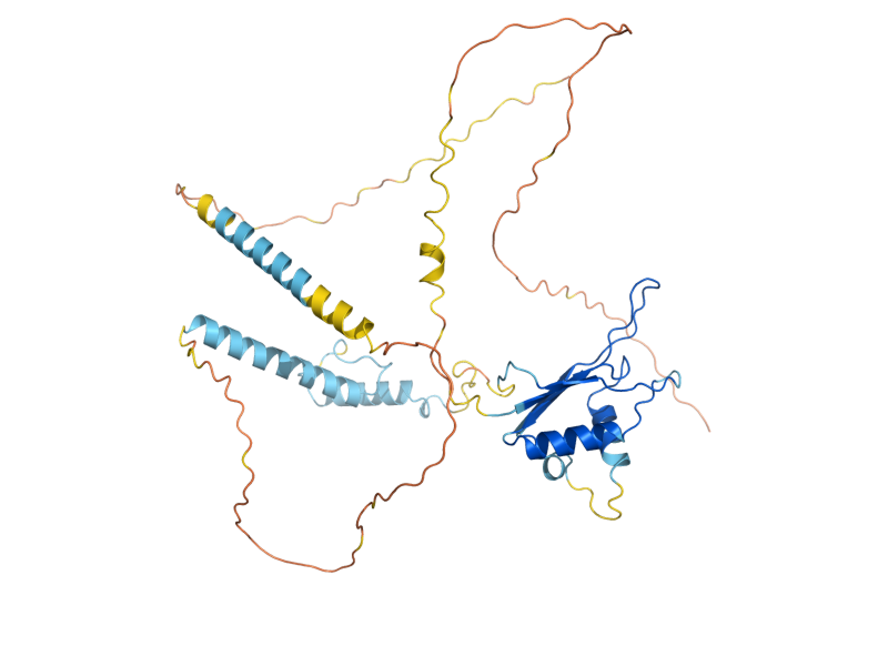AlphaFold predicted structure of UPF3