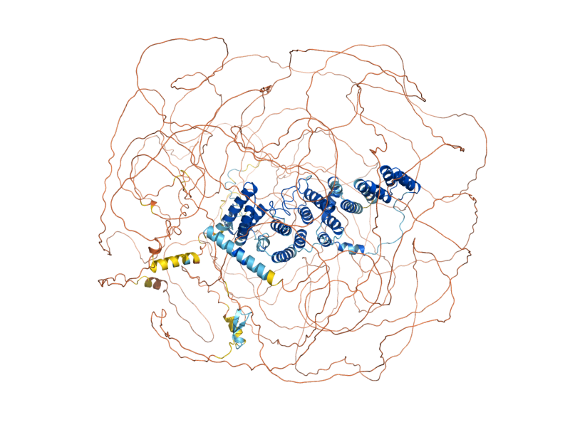 AlphaFold predicted structure of SEC16