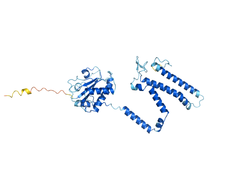 AlphaFold predicted structure of OST3