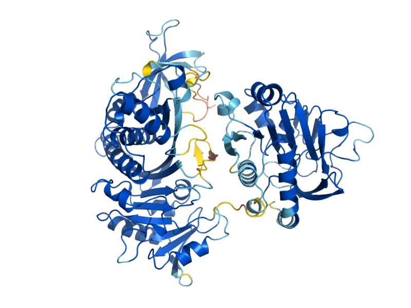 AlphaFold predicted structure of BPL1
