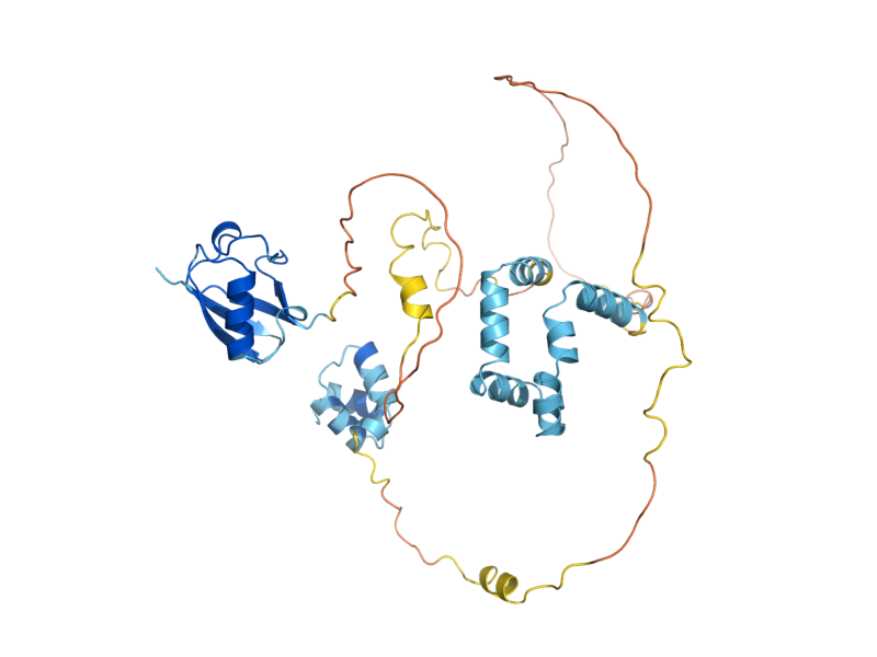 AlphaFold predicted structure of DSK2