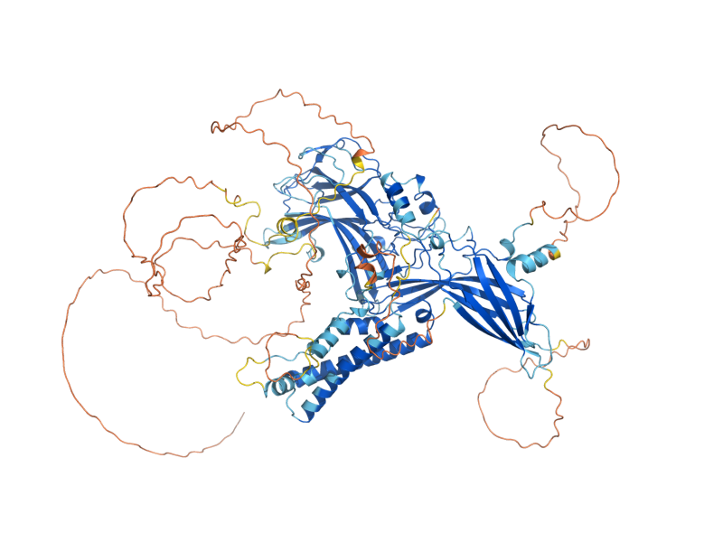 AlphaFold predicted structure of BUL1